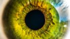 קשתית העין iris