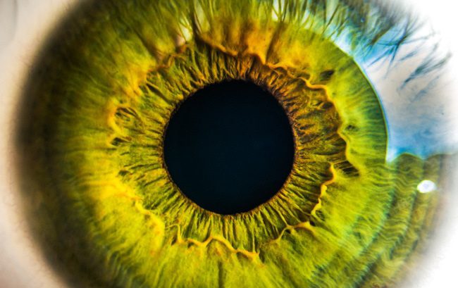 קשתית העין iris